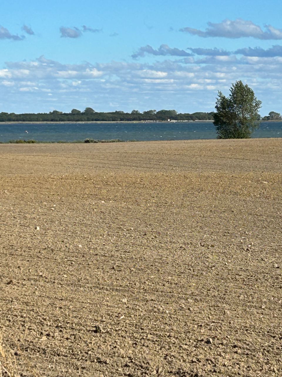 image 04