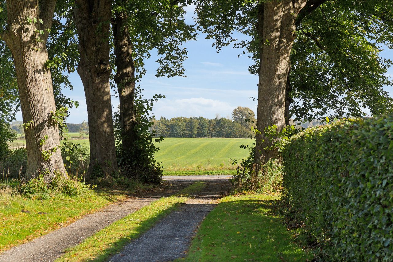 image 04